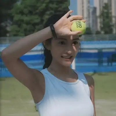 段平美